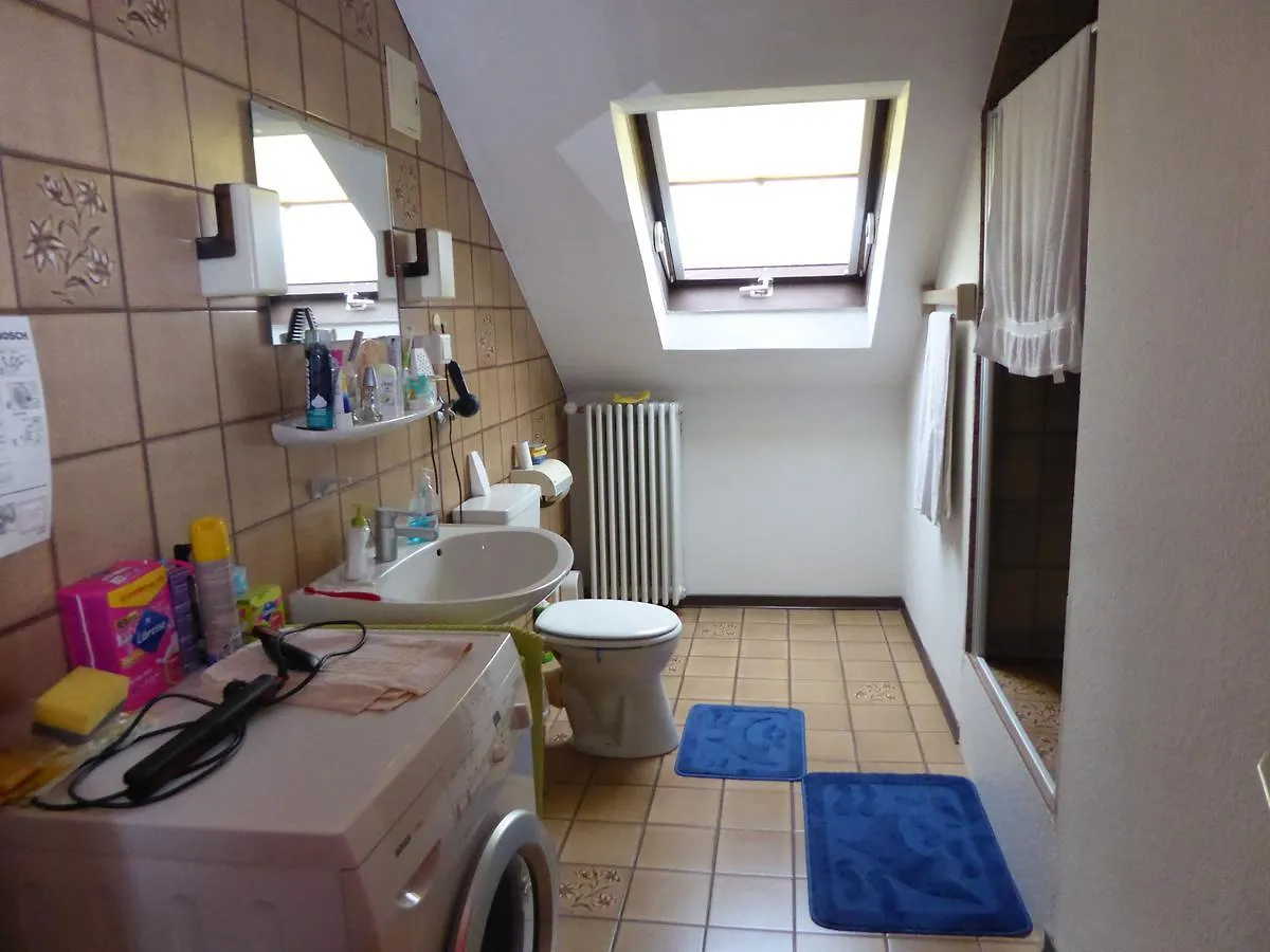 Ferienwohnungen Wozengi Schweinfurt Apartment
